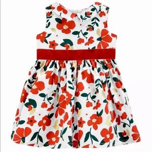 Carter’s Floral Sateen Holiday Dress (9M)